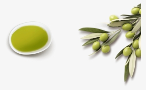 Our Olive Oil - Olive Oil #481940