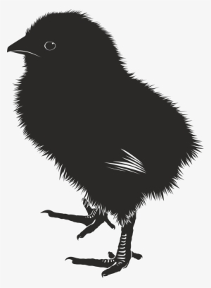 Vector Graphics,free Illustrations - Baby Chick Vector Art #482399