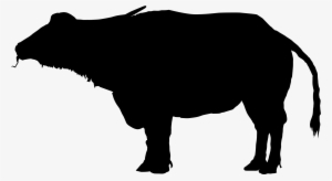 Water Buffalo Clipart Silhouette - African Water Buffalo Silhouette #482504