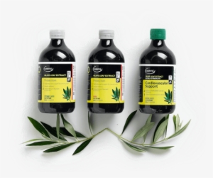 Connecting People To Nature And Good Health - Bottle #482602