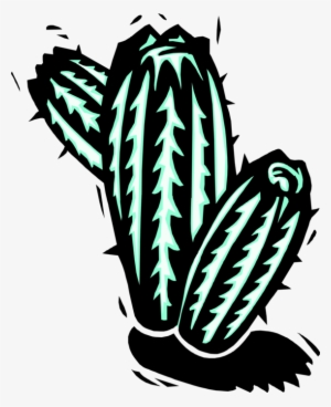 Vector Illustration Of Desert Vegetation Succulent - Xilogravuras Png #482702