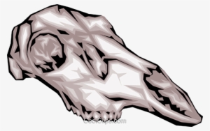 Animal Skull Royalty Free Vector Clip Art Illustration - Animal Skull #483155