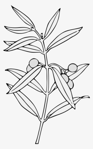 Details, Png - Line Art #483400