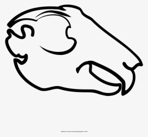 Animal Skull Coloring Page - Drawing #483732