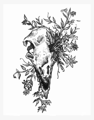 Raptor Skull #483880