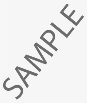 Too Many Print Re-tries - International Purchase Order Sample #483960