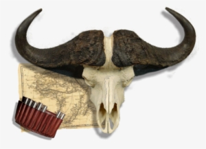 Hunters Skull - Bull #484251