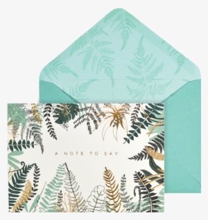 The Notecard Collection Ferns - Sada 10 Komplimentek S Obálkami Portico Designs Foil #484558