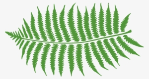 Bracken-297080 1280 - “ - Bible #484692