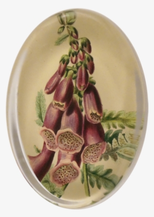 Foxglove & Ferns Foxglove & Ferns - Ceramic #484829