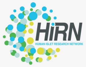 Hirn Medium Logo - Hirn Logo #485044