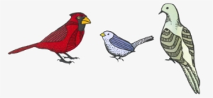 Since Watch Groups Host Events, Plan Meetings, And - Eastern Meadowlark #486231