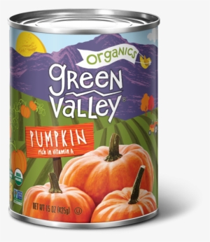 Our Pumpkin - Green Valley Organic Pumpkin #486638
