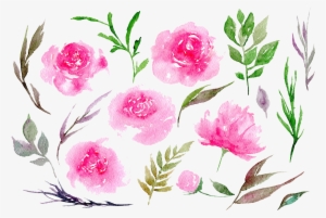 Download Amazing High-quality Latest Png Images Transparent - Peonias Png #486769