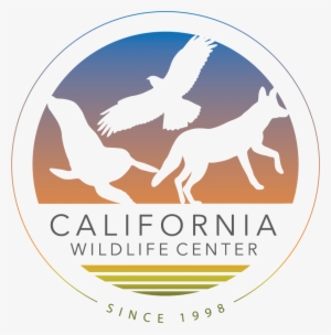 California Wildlife Center #486926