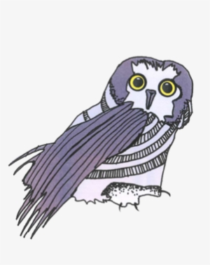 A Study By The Us Department Of Justice In 2008 Found - Great Grey Owl #486947