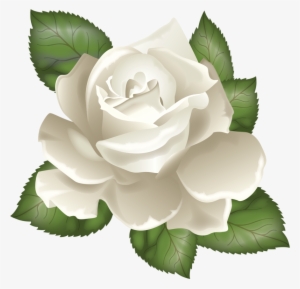 Photo From Album "розы" On Yandex - White Rose Vector Png #487773