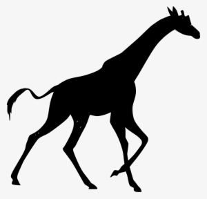 Download Png - Zoo #487899