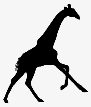 Creepy Tree Silhouette - Giraffe Silhouette Png #487973 Creepy Tree Silhouette - Giraffe Silhouette Png #487973