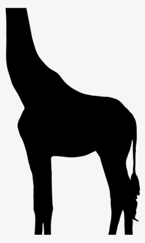 Volleyball Hatenylo Com Onlinelabels Clip Art Music - Giraffe Silhouette #488042