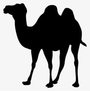 Giraffe - Silhouette - Clip - Art - Camel Clipart #488059 Giraffe - Silhouette - Clip - Art - Camel Clipart #488059