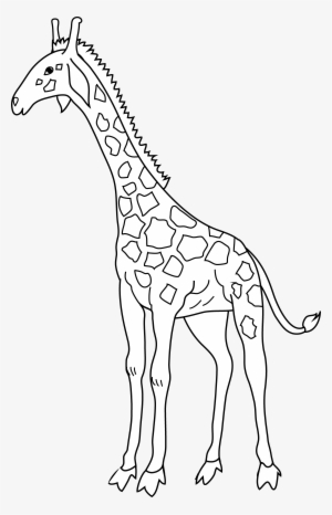 Clipart Free Download Coloring Page Free Clip Art - Clip Art #488328