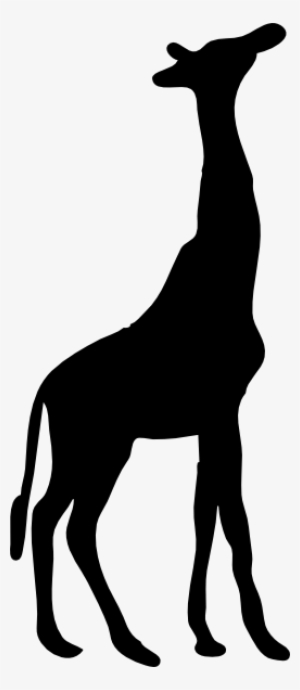 Got Giraffe? Throw Blanket #488620