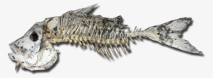I Think You Could Use That On The Shore Of Your Water - Fish Skeleton Png #488672