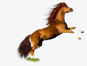 Download Horse Icon - Transparent Background Horse Png #488845