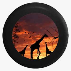 Silhouette Giraffes Sunset Sunrise African Safari Sahara - Desktop Backgrounds With Giraffes #489071