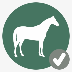 Horse Icon Check - Check Hook #489229