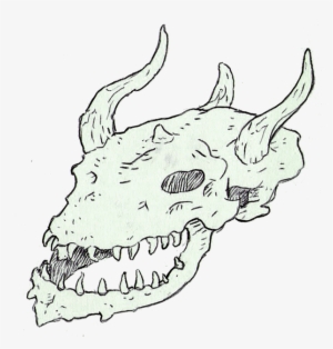 Image Library Library Anglerfish Drawing Skull - Skull #489752