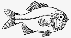 Ugly Fish Black White Line Art Coloring Book - Fish Clip Art #489873