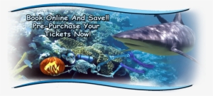 Skeleton In Aquarium - San Antonio #489914