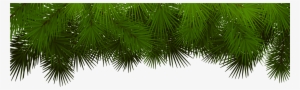 Christmas Tree Branch Png Download - Christmas Branch Transparent Clipart #489942