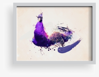 Peacock #4800074