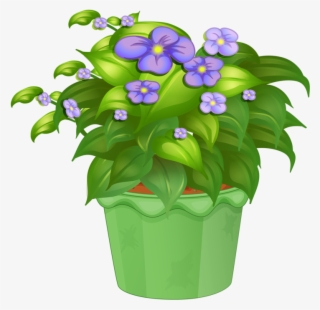 Яндекс - Фотки - Ornamental Plants #4800752