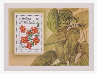 Crown Of Thorns - Antigua And Barbuda #4800901