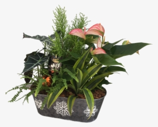 Snow Flake Christmas Printer - Flowerpot #4801239