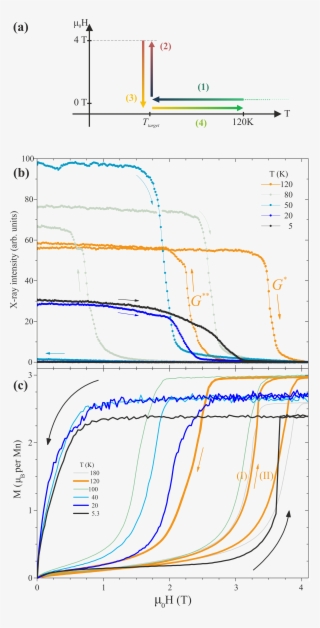 Fig 07 Bdep V03 - Iron #4801600