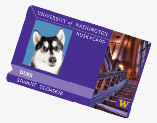 Getting Your Husky Card #4802304