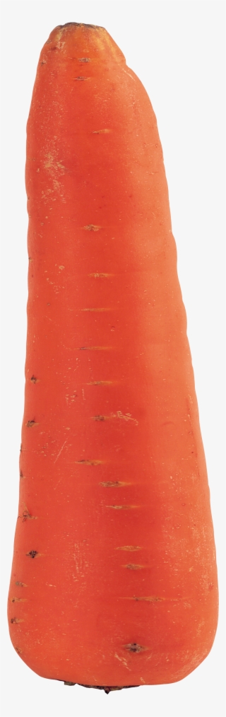 Carrot Png Image - Мокровка Png #4804322