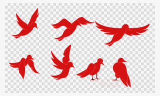 Bird Animation Clipart Tweety Bird Animated Film - Animated And Transparent Images Of Birds #4807689