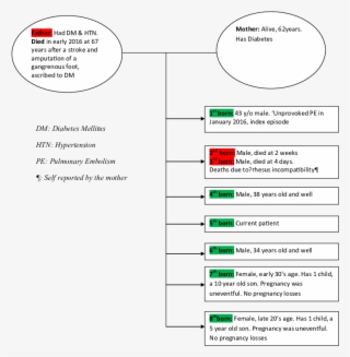 The Patient's Family Tree - Diagram #4807808