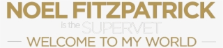 Welcome To My World Is A Unique Live Experience - Nir Kaufman #4809862 Welcome To My World Is A Unique Live Experience - Nir Kaufman #4809862