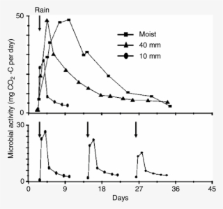 2 Effect Of Amount Of Rainfall Received On The Level - Soil #4810906