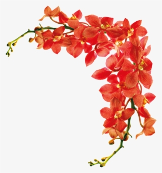 Floral Decorative Border Cartoon Transparent - Shutterstock Flowers Hd #4811455