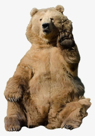 Soviet Bear Png - Bear Waving Transparent Background #4811790
