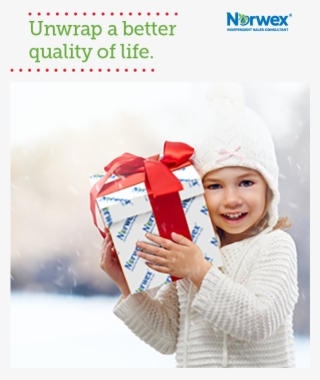 Norwex Pinterest Images Us Cdn - Norwex Christmas Facebook Banner #4812192