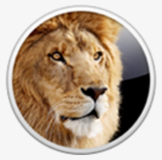 Credit Card Security Code Generator - Os X Lion Icon #4812259